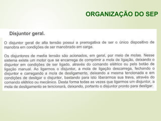 ORGANIZAÇÃO DO SEP
 