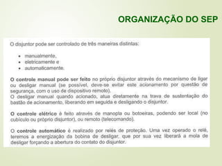 ORGANIZAÇÃO DO SEP
 