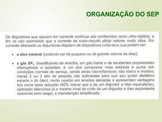 ORGANIZAÇÃO DO SEP
 