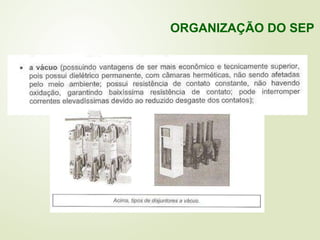 ORGANIZAÇÃO DO SEP
 
