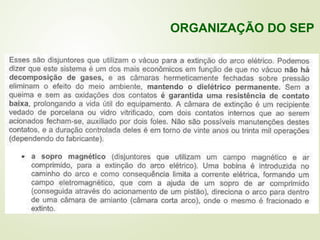ORGANIZAÇÃO DO SEP
 