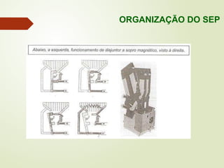 ORGANIZAÇÃO DO SEP
 
