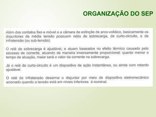 ORGANIZAÇÃO DO SEP
 