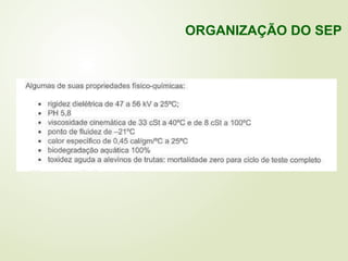 ORGANIZAÇÃO DO SEP
 