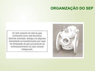ORGANIZAÇÃO DO SEP
 