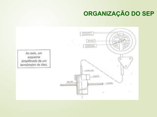 ORGANIZAÇÃO DO SEP
 