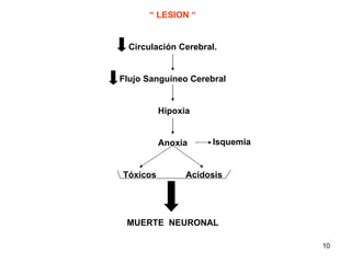 “  LESION “ Circulación Cerebral. Flujo Sanguíneo Cerebral Hipoxia   Anoxia Tóxicos   Acidosis MUERTE  NEURONAL Isquemia 