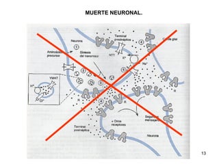MUERTE NEURONAL. 