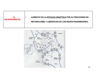 AUMENTO EN LA  EFICACIA SINAPTICA  POR ALTERACIONES EN  METABOLISMO Y LIBERACION DE LOS NEUROTRANSMISORES . C) NEUROQUIMICOS. 