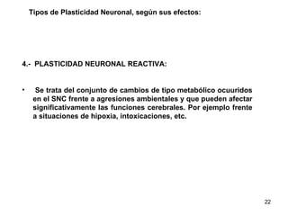 Tipos de Plasticidad Neuronal, según sus efectos: 4.-  PLASTICIDAD NEURONAL REACTIVA: Se trata del conjunto de cambios de tipo metabólico ocuuridos en el SNC frente a agresiones ambientales y que pueden afectar significativamente las funciones cerebrales. Por ejemplo frente a situaciones de hipoxia, intoxicaciones, etc.  