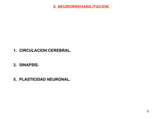 II. NEURORREHABILITACION. CIRCULACION CEREBRAL. SINAPSIS. PLASTICIDAD NEURONAL. 