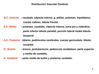 Distribución Vascular Cerebral. A.C. Anterior   : caudado, cápsula interna, g. pálido, putamen, hipotálamo,  cuerpo calloso, lóbulo frontal.  A.C. Media   : putamen, caudado, cápsula interna, zona pre y rolándica,  parte inferior lóbulo parietal, porción lateral media lóbulo temporal. A.C. Posterior  : tálamo, pedúnculos cerebrales, cuerpo geniculado, lóbulo  occipital. Basilar  : tronco, protuberancia, pedúnculo cerebeloso, parte superior y media de cerebelo. A. Vertebral   : parte media de bulbo y posterior cerebelo. 