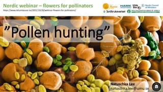 ”Pollen hunting”
Natuschka Lee
natuschka.lee@umu.se
Nordic webinar – flowers for pollinators
https://www.lahumlasuse.no/2021/10/20/webinar-flowers-for-pollinators/
© Natuschka Lee and Baraa Rehamnia
 