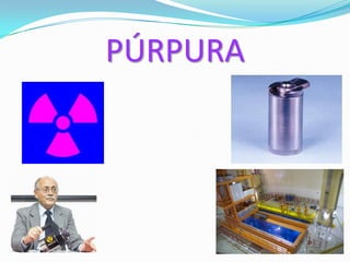 PÚRPURA
 