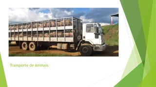 Transporte de Animais
 