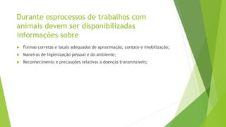 Durante osprocessos de trabalhos com
animais devem ser disponibilizadas
informações sobre
 Formas corretas e locais adequados de aproximação, contato e imobilização;
 Maneiras de higienização pessoal e do ambiente;
 Reconhecimento e precauções relativas a doenças transmissíveis;
 