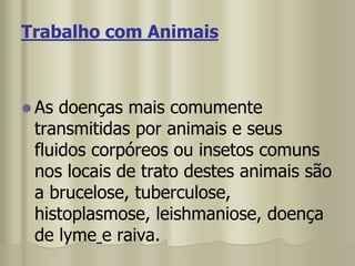 Trabalho com Animais
 As doenças mais comumente
transmitidas por animais e seus
fluidos corpóreos ou insetos comuns
nos locais de trato destes animais são
a brucelose, tuberculose,
histoplasmose, leishmaniose, doença
de lyme e raiva.
 