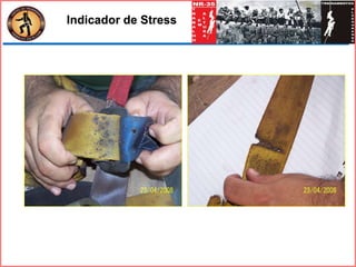 Indicador de Stress
 