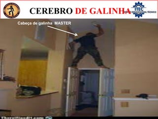 CEREBRO DE GALINHA
PARA FINALIZAR
IDIOTAS DOS IDIOTAS
Cabeça de galinha MASTER
 
