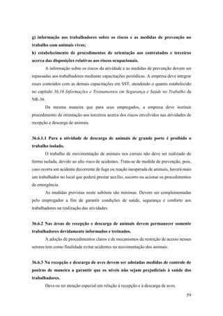 59
g) informação aos trabalhadores sobre os riscos e as medidas de prevenção no
trabalho com animais vivos;
h) estabelecimento de procedimentos de orientação aos contratados e terceiros
acerca das disposições relativas aos riscos ocupacionais.
A informação sobre os riscos da atividade e as medidas de prevenção devem ser
repassadas aos trabalhadores mediante capacitações periódicas. A empresa deve integrar
esses conteúdos com as demais capacitações em SST, atendendo o quanto estabelecido
no capítulo 36.16 Informações e Treinamentos em Segurança e Saúde no Trabalho da
NR-36.
Da mesma maneira que para seus empregados, a empresa deve instituir
procedimento de orientação aos terceiros acerca dos riscos envolvidos nas atividades de
recepção e descarga de animais.
36.6.1.1 Para a atividade de descarga de animais de grande porte é proibido o
trabalho isolado.
O trabalho de movimentação de animais nos currais não deve ser realizado de
forma isolada, devido ao alto risco de acidentes. Trata-se de medida de prevenção, pois,
caso ocorra um acidente decorrente de fuga ou reação inesperada de animais, haverá mais
um trabalhador no local que poderá prestar auxílio, socorro ou acionar os procedimentos
de emergência.
As medidas previstas neste subitem são mínimas. Devem ser complementadas
pelo empregador a fim de garantir condições de saúde, segurança e conforto aos
trabalhadores na realização das atividades.
36.6.2 Nas áreas de recepção e descarga de animais devem permanecer somente
trabalhadores devidamente informados e treinados.
A adoção de procedimentos claros e de mecanismos de restrição de acesso nesses
setores tem como finalidade evitar acidentes na movimentação dos animais.
36.6.3 Na recepção e descarga de aves devem ser adotadas medidas de controle de
poeiras de maneira a garantir que os níveis não sejam prejudiciais à saúde dos
trabalhadores.
Deve-se ter atenção especial em relação à recepção e à descarga de aves.
 
