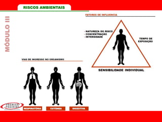 RISCOS AMBIENTAISMÓDULOIII
 