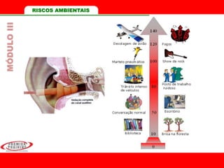 MÓDULOIII RISCOS AMBIENTAIS
 