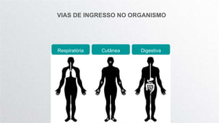 VIAS DE INGRESSO NO ORGANISMO
Respiratória Cutânea Digestiva
 