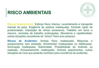 RISCO AMBIENTAIS
Riscos Ergonômicos: Esforço físico intenso, Levantamento e transporte
manual de peso, Exigência de postura inadequada, Controle rígido de
produtividade, Imposição de ritmos excessivos, Trabalho em turno e
noturno, Jornadas de trabalho prolongadas, Monotonia e repetitividade,
outras situações causadoras de “stress” físico e/ou psíquico.
Riscos de Acidentes: Arranjo físico inadequado, Máquinas e
equipamentos sem proteção, ferramentas inadequadas ou defeituosas,
Iluminação inadequada, Eletricidade, Probabilidade de incêndio ou
explosão, Armazenamento inadequado, Animais peçonhentos, outras
situações de risco que poderão contribuir para ocorrência de acidentes.
 