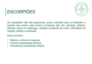 ESCORPIÕES
Os escorpiões não são agressivos, picam somente para se defender e
quando isso ocorre, seus sinais e sintomas são: dor, náuseas, vômitos,
diarréia, dores no estômago, vontade constante de urinar, dificuldade de
respirar, palidez e sudorese.
Como socorrer:
• Manter a vítima em repouso;
• Colocar compressas quentes;
• Providenciar assistência médica.
 