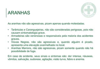 ARANHAS
As aranhas não são agressivas, picam apenas quando molestadas.
• Tarântulas e Caranguejeiras, não são consideradas perigosas, pois não
causam sintomatologia grave.
• Armadeiras são venenosas e responsáveis pela maioria dos acidentes
graves.
• Viúvas Negras, não são agressivas e, quando alguém é picado,
apresenta uma elevação avermelhada no local.
• Aranhas Marrons, não são agressivas, picam somente quando não há
possibilidade de fuga.
Em caso de acidente, seus sinais e sintomas são: dor intensa, náuseas,
vômitos, salivação, sudorese, agitação, visão turva, febre e anemia.
 