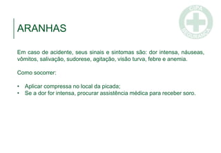 ARANHAS
Em caso de acidente, seus sinais e sintomas são: dor intensa, náuseas,
vômitos, salivação, sudorese, agitação, visão turva, febre e anemia.
Como socorrer:
• Aplicar compressa no local da picada;
• Se a dor for intensa, procurar assistência médica para receber soro.
 