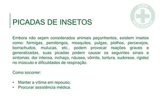 PICADAS DE INSETOS
Embora não sejam considerados animais peçonhentos, existem insetos
como: formigas, pernilongos, mosquitos, pulgas, piolhos, percevejos,
borrachudos, mutucas, etc., podem provocar reações graves e
generalizadas, suas picadas podem causar os seguintes sinais e
sintomas: dor intensa, inchaço, náusea, vômito, tontura, sudorese, rigidez
no músculo e dificuldades de respiração.
Como socorrer:
• Manter a vítima em repouso;
• Procurar assistência médica.
 