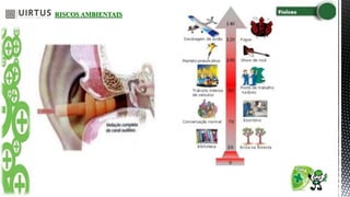 RISCOS AMBIENTAIS
 