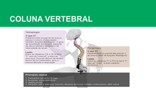 COLUNA VERTEBRAL
 