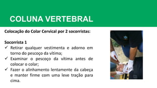 COLUNA VERTEBRAL
Colocação do Colar Cervical por 2 socorristas:
Socorrista 1
 Retirar qualquer vestimenta e adorno em
torno do pescoço da vítima;
 Examinar o pescoço da vítima antes de
colocar o colar;
 Fazer o alinhamento lentamente da cabeça
e manter firme com uma leve tração para
cima.
 
