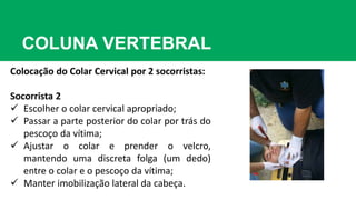 COLUNA VERTEBRAL
Colocação do Colar Cervical por 2 socorristas:
Socorrista 2
 Escolher o colar cervical apropriado;
 Passar a parte posterior do colar por trás do
pescoço da vítima;
 Ajustar o colar e prender o velcro,
mantendo uma discreta folga (um dedo)
entre o colar e o pescoço da vítima;
 Manter imobilização lateral da cabeça.
 