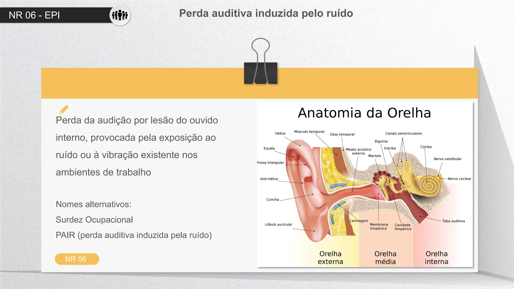 NR 06 - EPI Perda auditiva induzida pelo ruído
NR 06
Perda da audição por lesão do ouvido
interno, provocada pela exposição ao
ruído ou à vibração existente nos
ambientes de trabalho
Nomes alternativos:
Surdez Ocupacional
PAIR (perda auditiva induzida pela ruído)
 