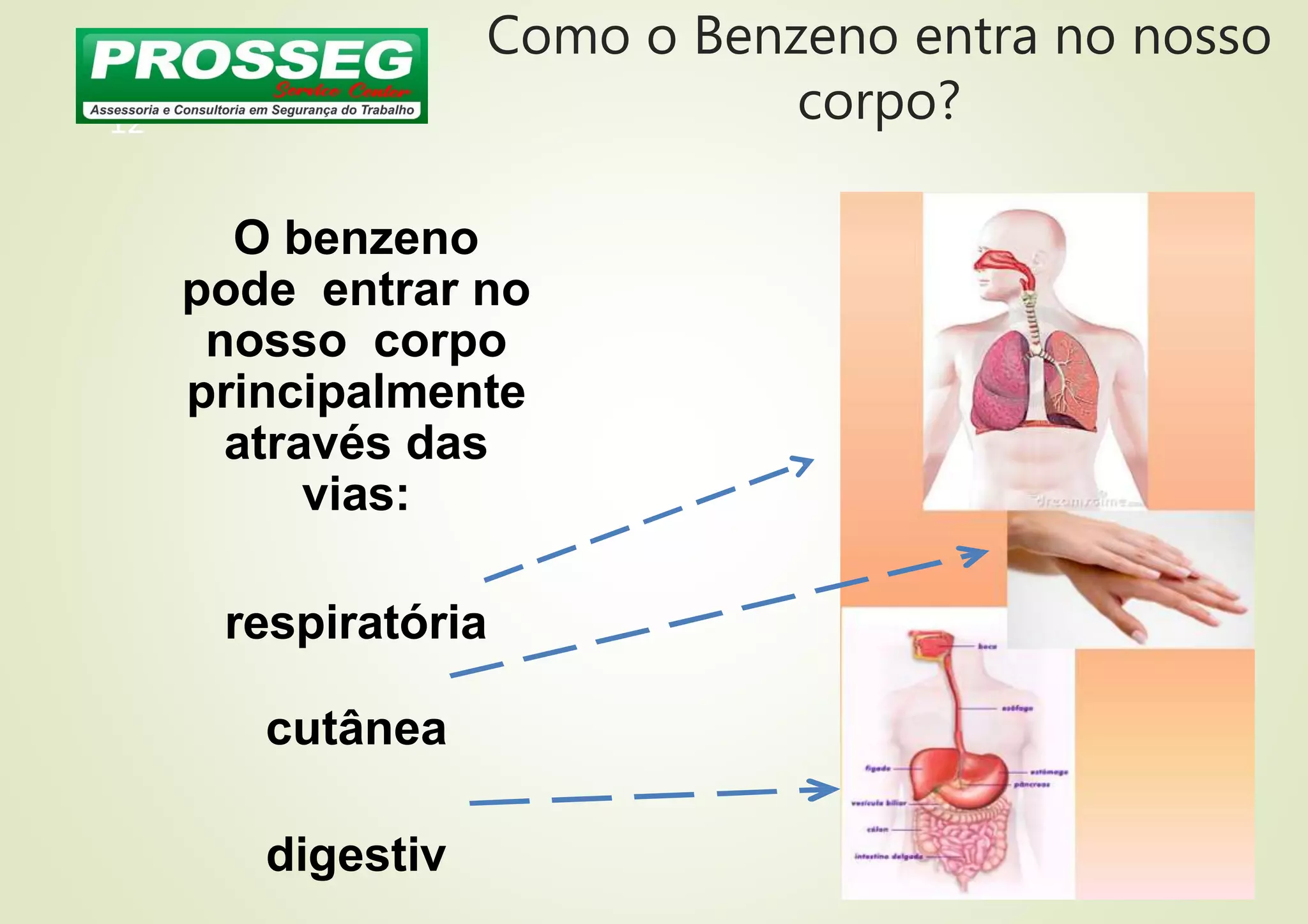 Como o Benzeno entra no nosso
corpo?
12
O benzeno
pode entrar no
nosso corpo
principalmente
através das
vias:
respiratória
cutânea
digestiv
 