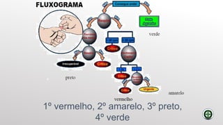 1º vermelho, 2º amarelo, 3º preto,
4º verde
 