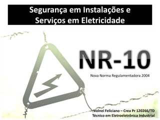 Segurança em Instalações e
Serviços em Eletricidade
Volnei Feliciano – Crea Pr 120266/TD
Técnico em Eletroeletrônica Industrial
Nova Norma Regulamentadora 2004
 