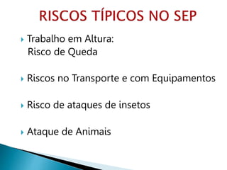  Trabalho em Altura:
Risco de Queda
 Riscos no Transporte e com Equipamentos
 Risco de ataques de insetos
 Ataque de Animais
 