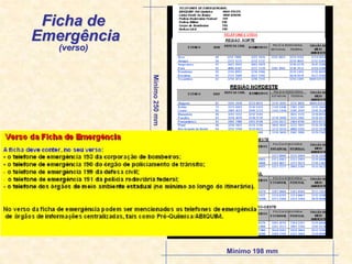 Mínimo
250
mm
Mínimo 198 mm
Ficha de
Emergência
(verso)
Mínimo 198 mm
Grupo de embalagem:
 
