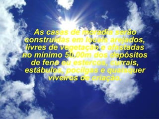 As casas de moradia serão
construídas em locais arejados,
livres de vegetação e afastadas
no mínimo 50,00m dos depósitos
de feno ou estercos, currais,
estábulos, pocilgas e quaisquer
viveiros de criação.
 