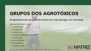 GRUPOS DOS AGROTÓXICOS
Os agrotóxicos são agrupados de acordo com o tipo de praga a ser controlada.
NR-31 Segurança e saúde no trabalho na agricultura, pecuária sivilcultura, exploração florestal e aquicultura
inseticidas,
fungicidas,
herbicidas,
rodenticidas e/ou raticidas,
acaricidas,
nematicidas,
fumigantes,
moluscicidas
são classificados como:
 