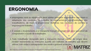 empregador rural ou equiparado deve adotar princípios ergonômicos que visem a
adaptação das condições de trabalho às características psicofisiológicas dos
trabalhadores, de modo a proporcionar melhorias nas condições de conforto e
segurança no trabalho.
É vedado o levantamento e o transporte manual de carga com peso suscetível de
comprometer a saúde do trabalhador.
Todo trabalhador designado para o transporte manual regular de cargas deve
receber treinamento ou instruções quanto aos métodos de trabalho que deverá
utilizar, com vistas a salvaguardar sua saúde e prevenir acidentes.
ERGONOMIA
NR-31 Segurança e saúde no trabalho na agricultura, pecuária sivilcultura, exploração florestal e aquicultura
 