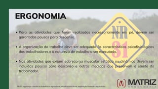 Para as atividades que forem realizadas necessariamente em pé, devem ser
garantidas pausas para descanso.
A organização do trabalho deve ser adequada às características psicofisiológicas
dos trabalhadores e à natureza do trabalho a ser executado.
Nas atividades que exijam sobrecarga muscular estática ou dinâmica devem ser
incluídas pausas para descanso e outras medidas que preservem a saúde do
trabalhador.
ERGONOMIA
NR-31 Segurança e saúde no trabalho na agricultura, pecuária sivilcultura, exploração florestal e aquicultura
 