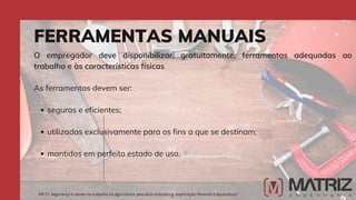 seguras e eficientes;
utilizadas exclusivamente para os fins a que se destinam;
mantidas em perfeito estado de uso.
O empregador deve disponibilizar, gratuitamente, ferramentas adequadas ao
trabalho e às características físicas
As ferramentas devem ser:
FERRAMENTAS MANUAIS
NR-31 Segurança e saúde no trabalho na agricultura, pecuária sivilcultura, exploração florestal e aquicultura
 