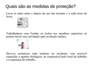 Quais são as medidas de proteção?
Lavar as mãos antes e depois do uso das mesmas e a cada troca de
luvas.
Trabalhadores com Feridas ou lesões nos membros superiores só
podem iniciar suas atividades após avaliação médica.
Deve-se comunicar todo acidente ou incidente, com possível
exposição a agentes biológicos, ao responsável pelo local de trabalho
e a segurança do trabalho.
 