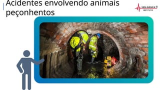 Acidentes envolvendo animais
peçonhentos
 