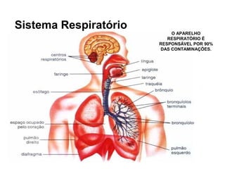 Sistema Respiratório
O APARELHO
RESPIRATÓRIO É
RESPONSÁVEL POR 90%
DAS CONTAMINAÇÕES.
 